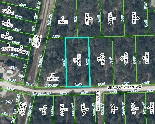 10197 Meadow Wren Ave., Weeki Wachee, FL 34613