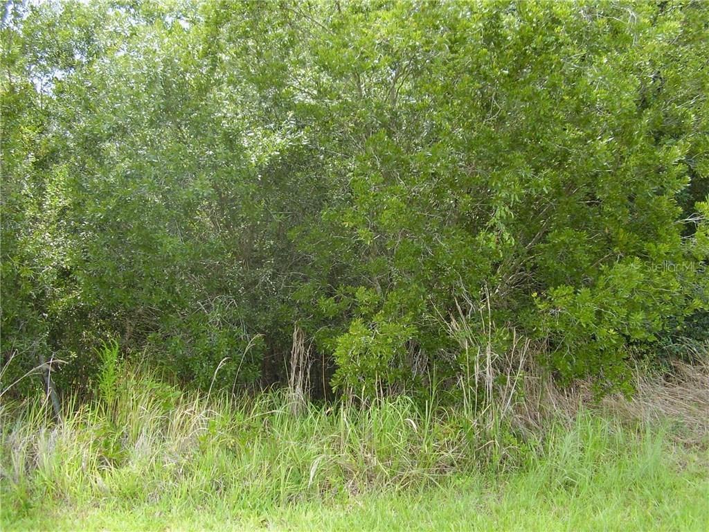 206 Rontunda Dr., Kissimmee, FL 34758