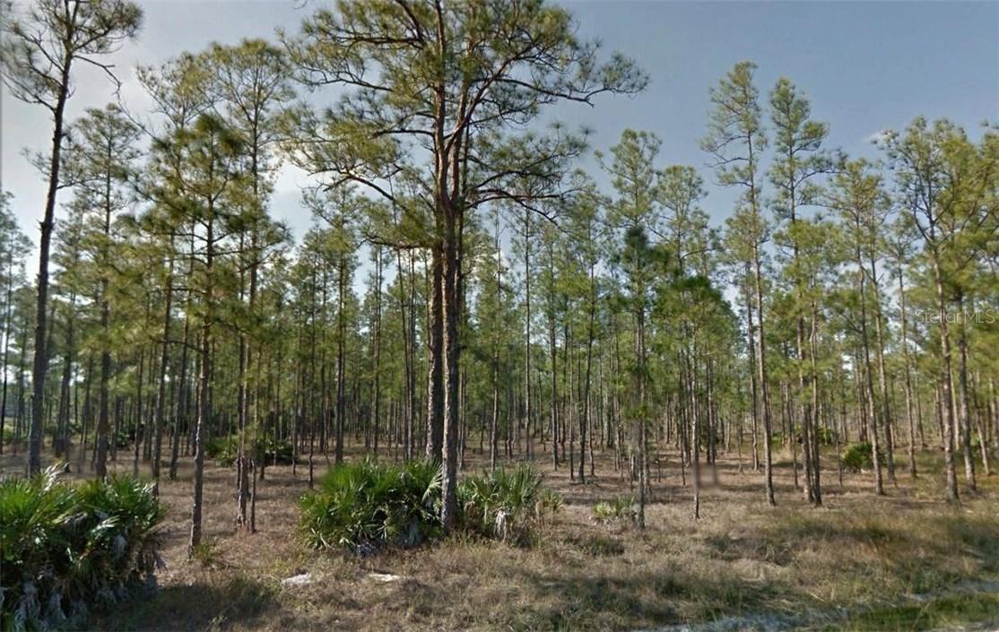 1307 Michael Ave., Lehigh Acres, FL 33972