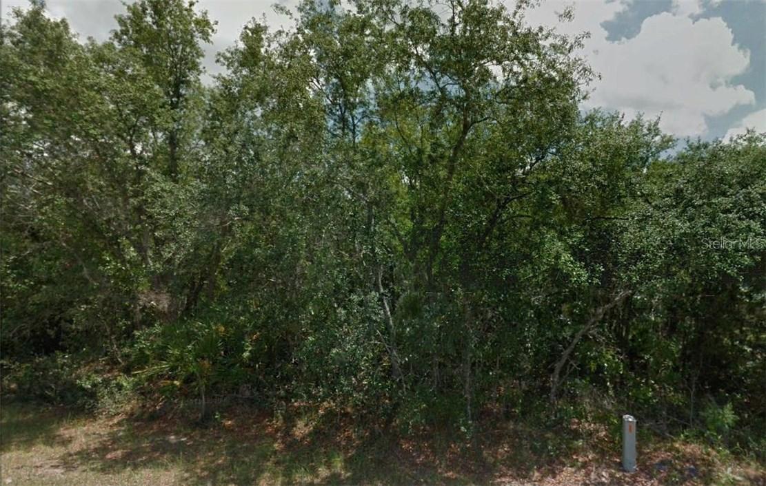 Mulberry Ct., Kissimmee, FL 34759