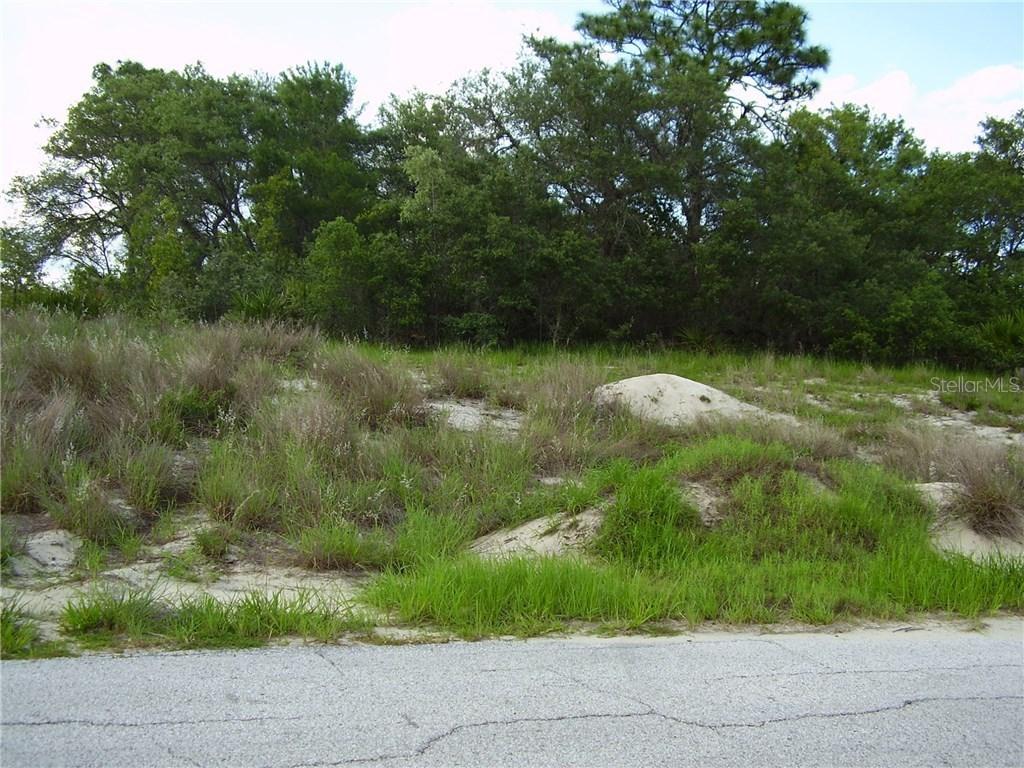 Zinnia Ln., Kissimmee, FL 34759