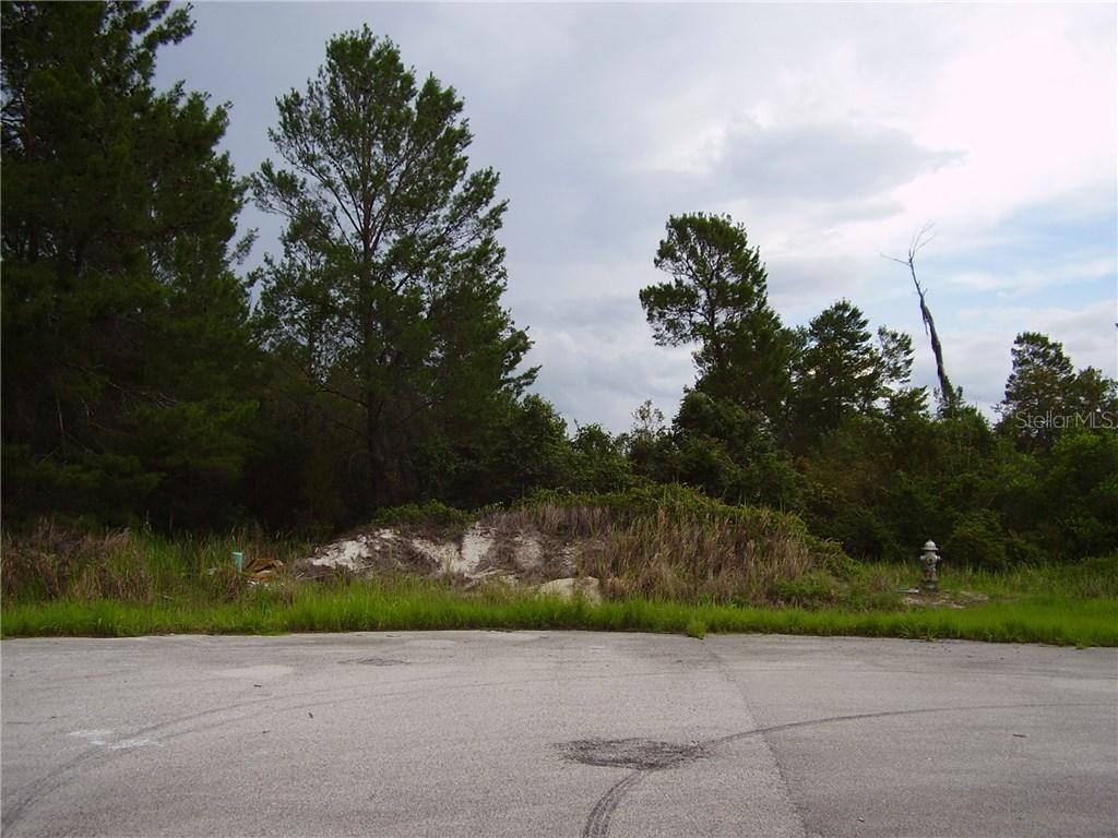 259 Hibiscus Ln., Kissimmee, FL 34759