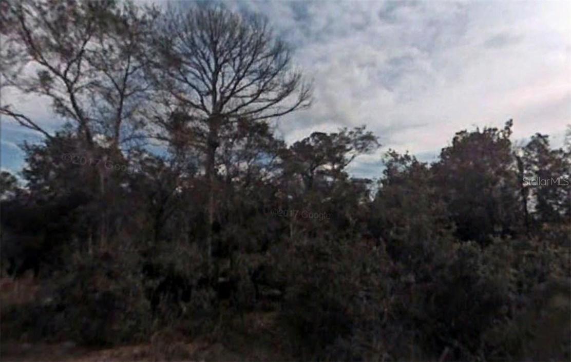 Sequoia Loop Ct., Ocklawaha, FL 32179