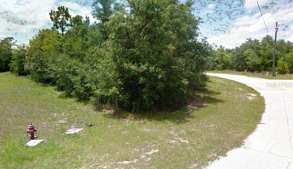 Rio Grande Ct., Poinciana, FL 34759