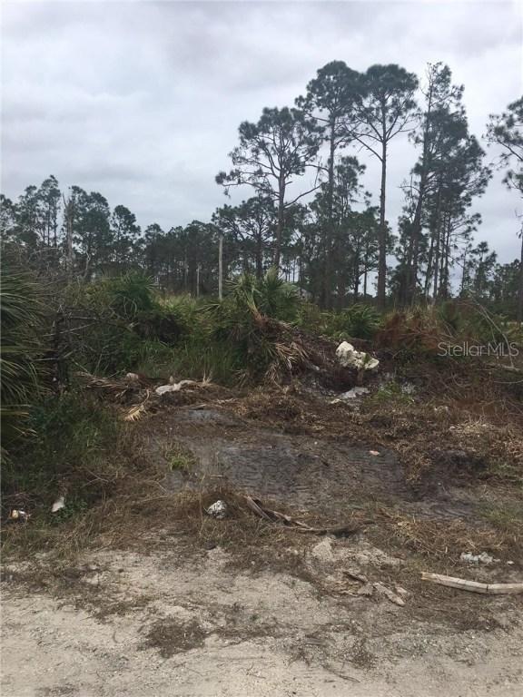 802 Andover Ave., Lehigh Acres, FL 33974