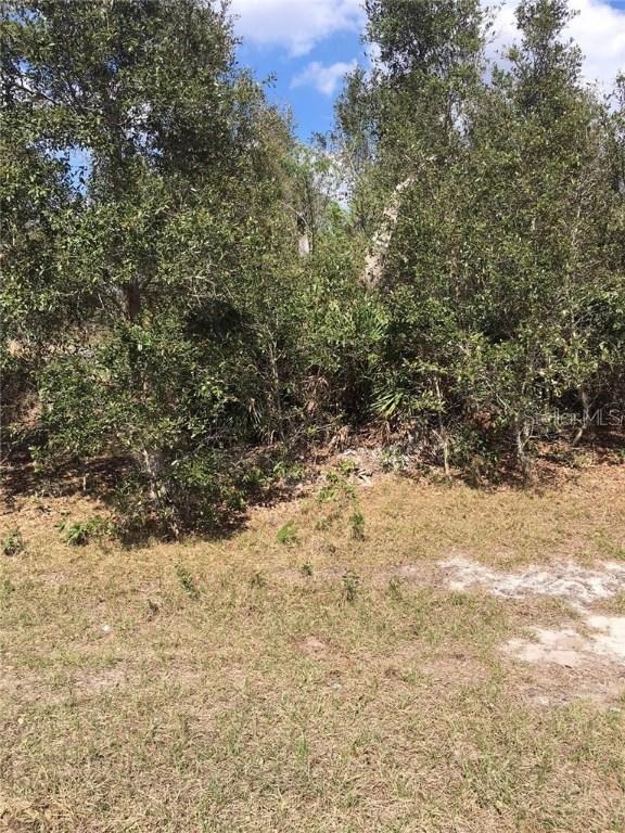 325 Amberjack Ct., Poinciana, FL 34759