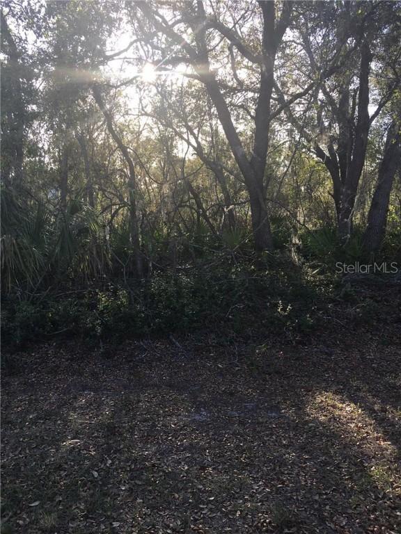 1202 Vero Beach Way, Poinciana, FL 34759