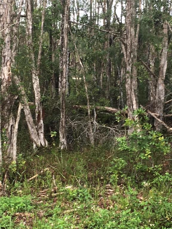 723 Kalamar Dr., Lehigh Acres, FL 33974