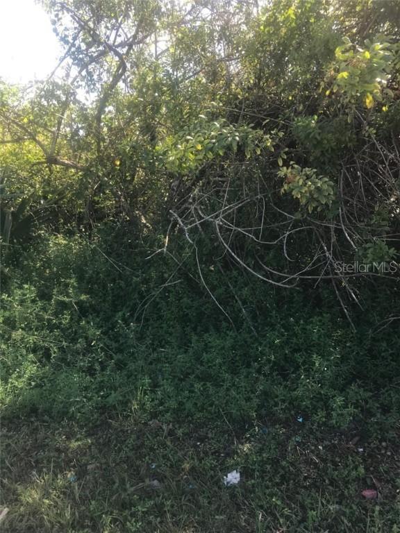 1242 Damen St., Lehigh Acres, FL 33974