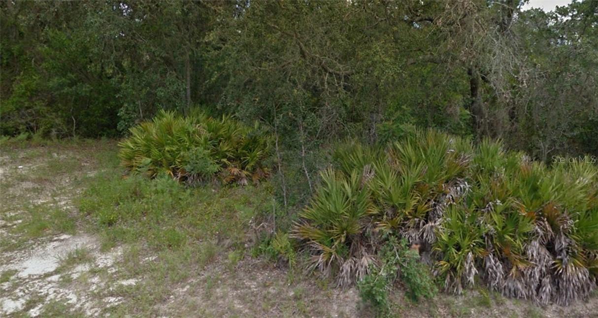 234 N Dunkenfield Ave., Crystal River, FL 34429