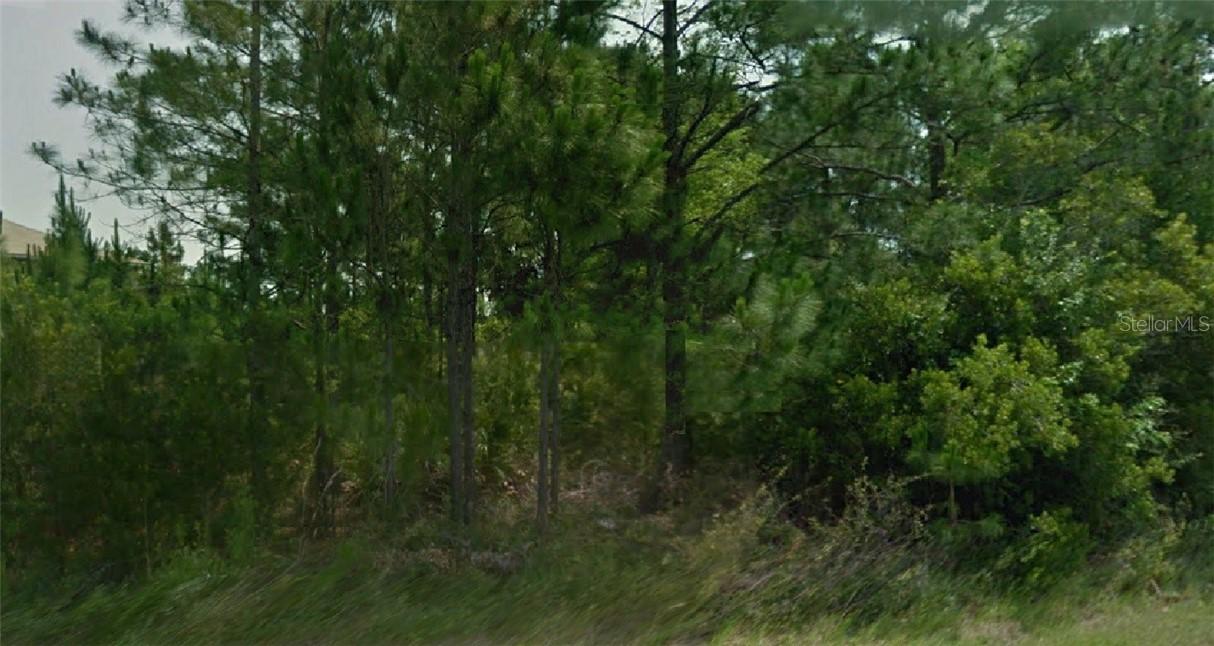 Embrun Ct., Kissimmee, FL 34759