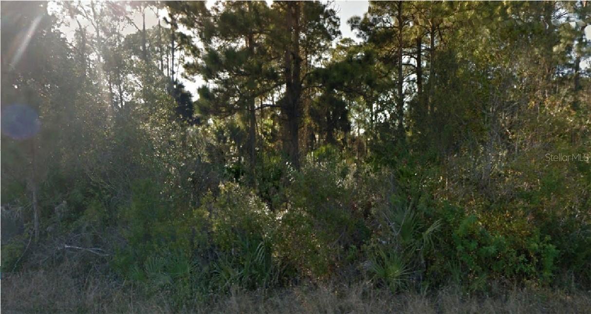 6021 Juliet Ave., Fort Myers, FL 33905