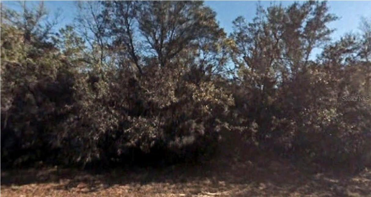 Sw 39th Circle, Ocala, FL 34473