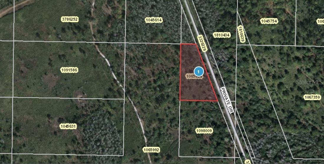 Salyers Rd., Groveland, FL 34736