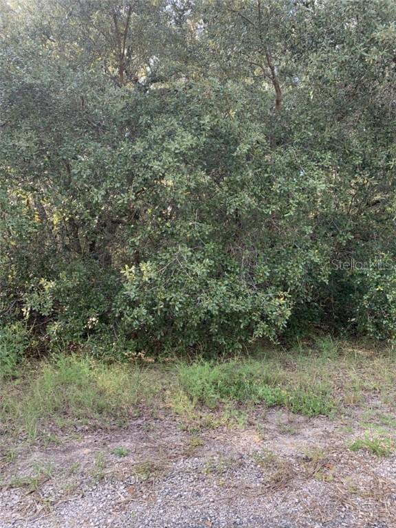 31 Princess Kim Ln., Palm Coast, FL 32164