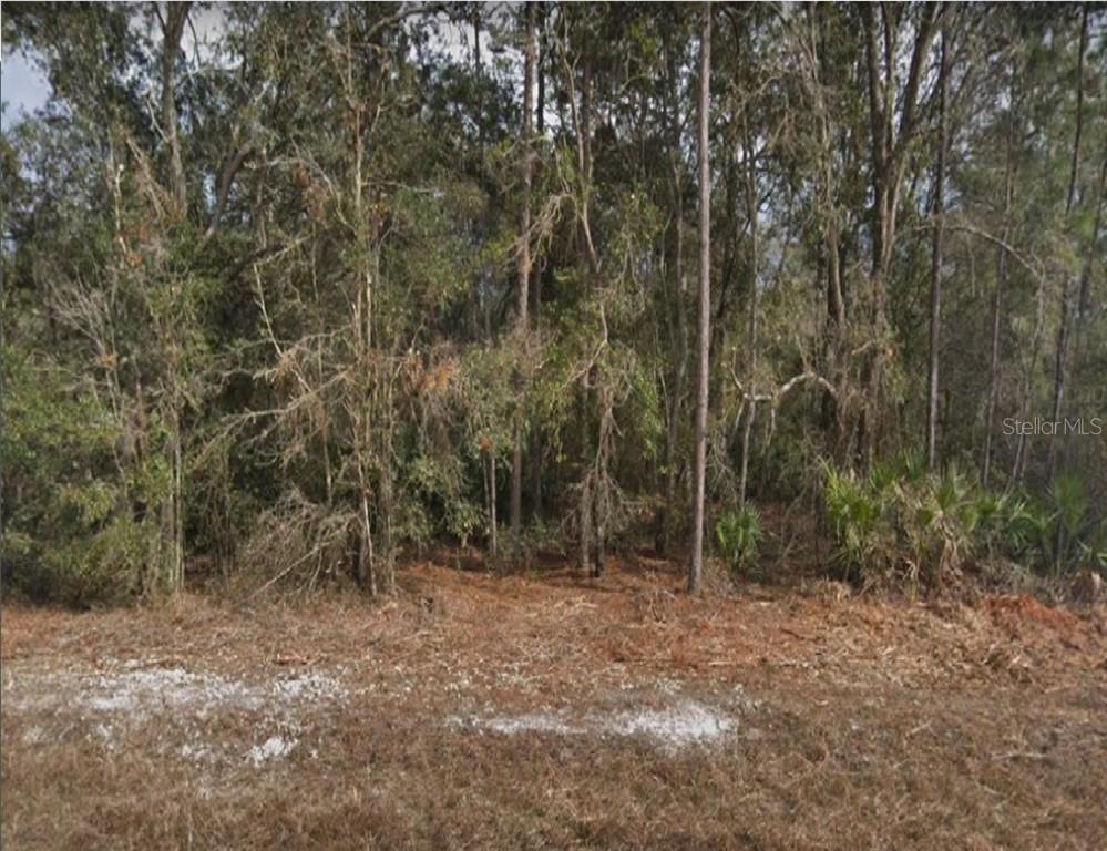 265 Fig Ct., Poinciana, FL 34759