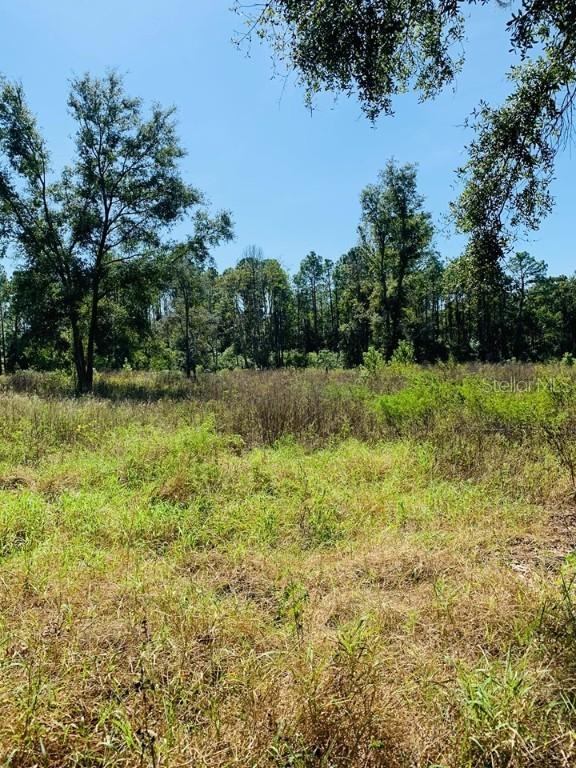 Empire Church Rd., Groveland, FL 34736