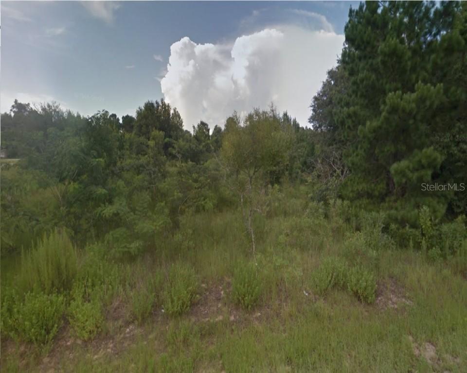 Pine Course Trace, Ocala, FL 34472