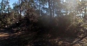 SW 161st Loop, Ocala, FL 34473