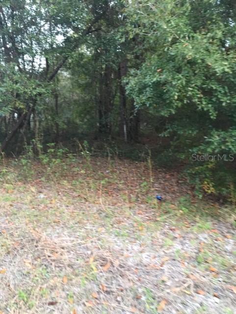 2801 9th St., Lehigh Acres, FL 33976