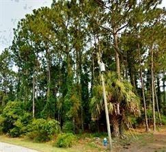 85 Ryecliffe Dr., Palm Coast, FL 32164
