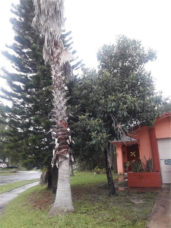 [Address Hidden by Seller], Orlando, FL 32837