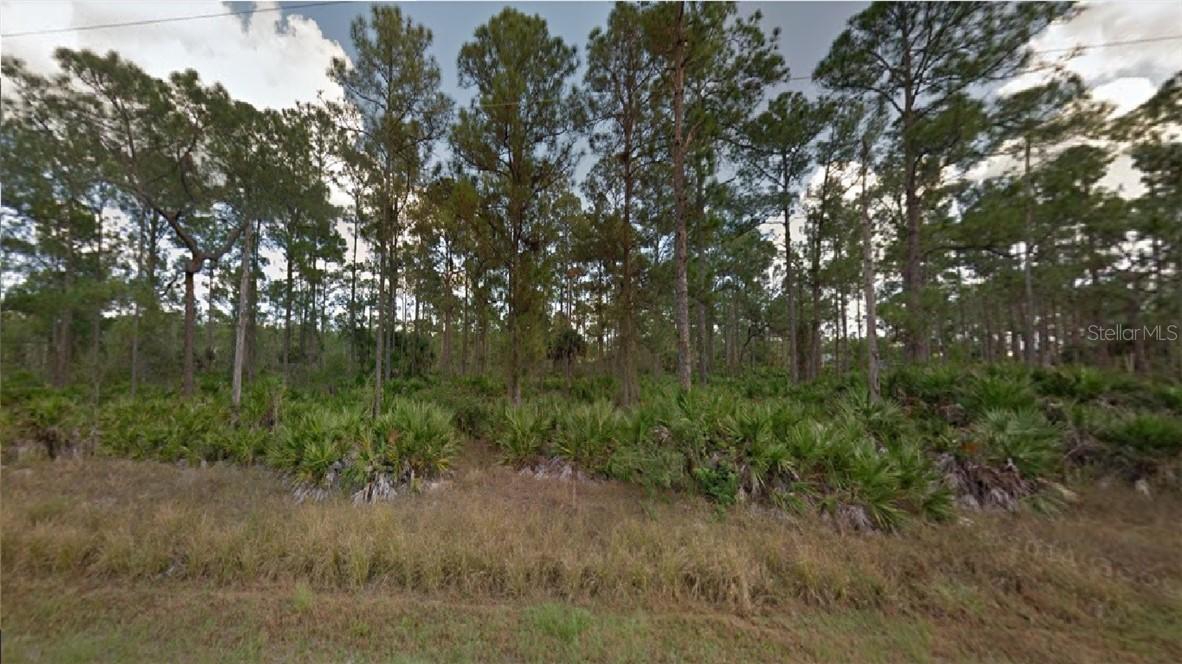 1010 Edison Ave., Lehigh Acres, FL 33936