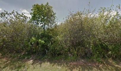 355 Lawler St., Port Charlotte, FL 33954