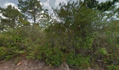 13185 Sparta Ct., Port Charlotte, FL 33981