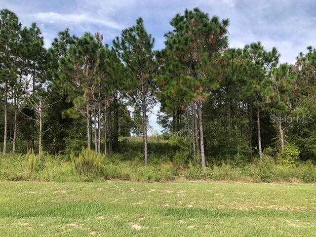 TBD County Road 561, Clermont, FL 34715
