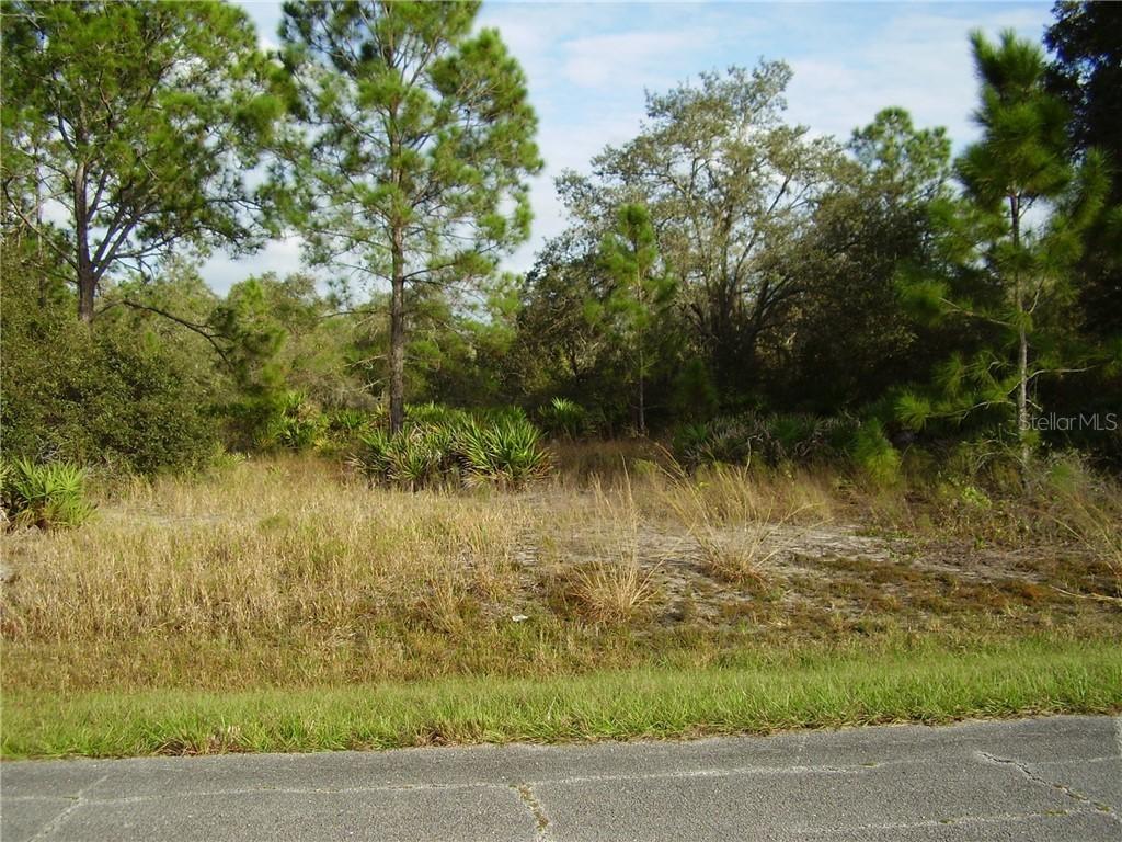 341 Bowfin Dr., Kissimmee, FL 34759