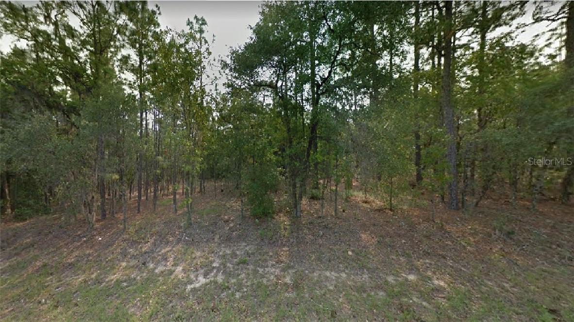 12035 S Elm Point, Floral City, FL 34436