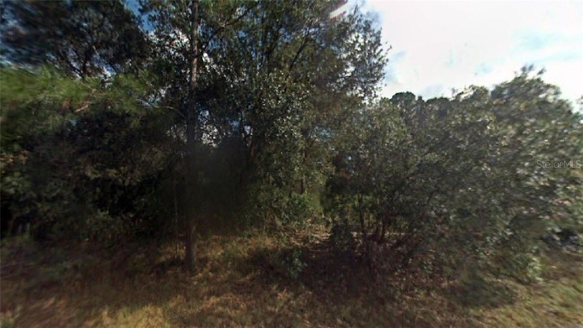 Alpaca St., North Port, FL 34291