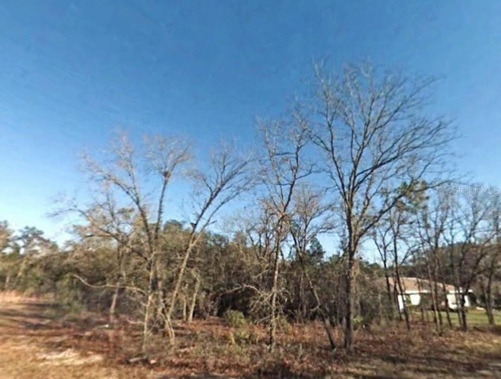 SW 45th Court Cir., Ocala, FL 34473