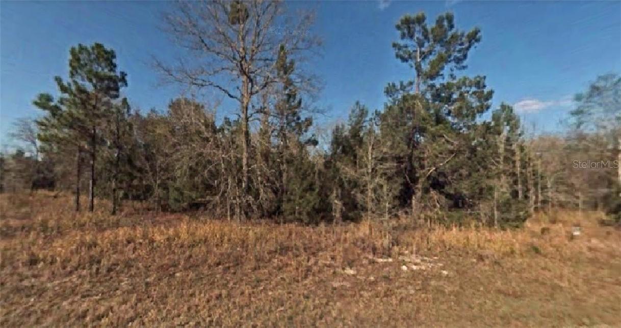 SW 128th Pl., Ocala, FL 34473