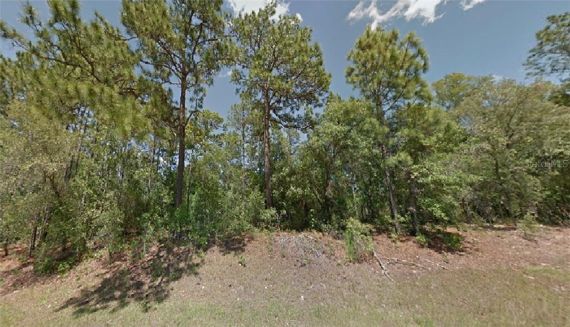 8695 N Travis Dr., Citrus Springs, FL 34434