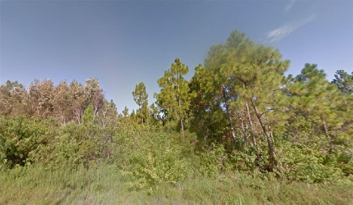 1008 Habershan Ave., Lehigh Acres, FL 33974