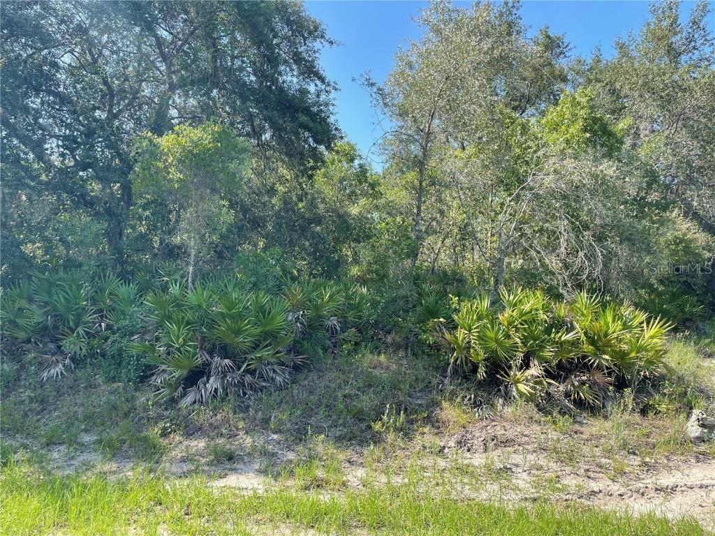 St Johns Ct., Poinciana, FL 34759