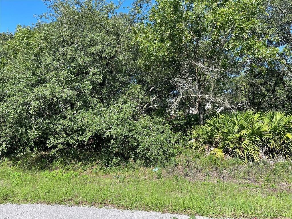 529 St Johns Ct., Poinciana, FL 34759