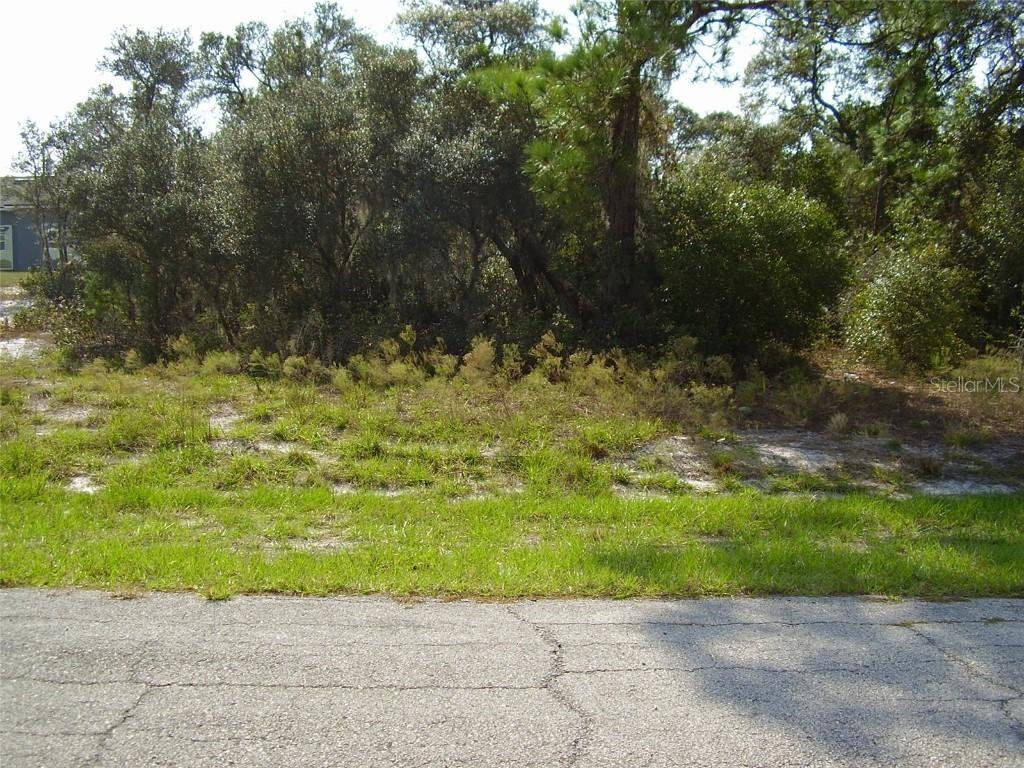 606 Amazon Ct Ct., Poinciana, FL 34759