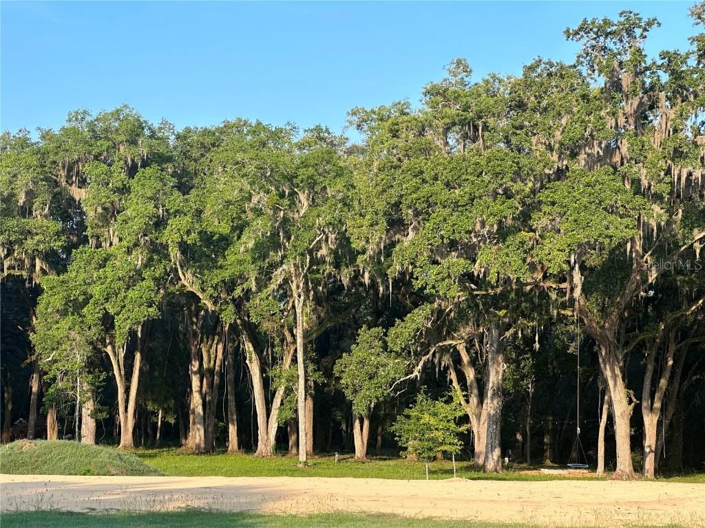 1797 NW 150 Blvd., Jonesville, FL 32669
