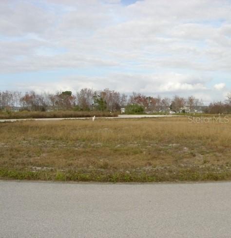Sawgrass Run, Tavares, FL 32778