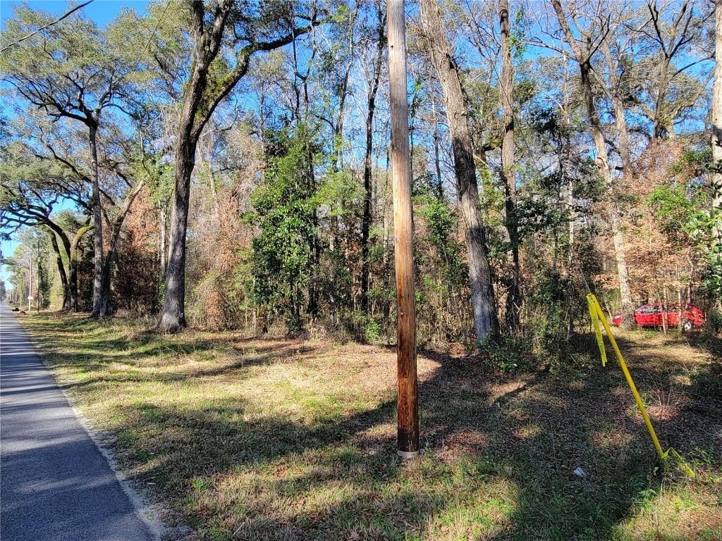 SW Newark Dr., Fort White, FL 32038