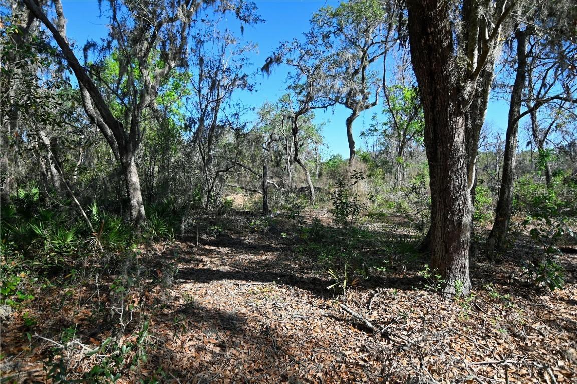 Pablo Island Road, Groveland, FL 34736