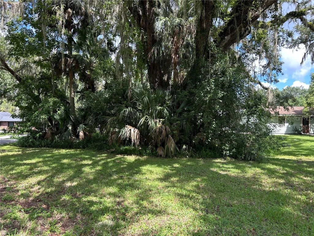 2711 Blue Heron Village, Deland, FL 32720