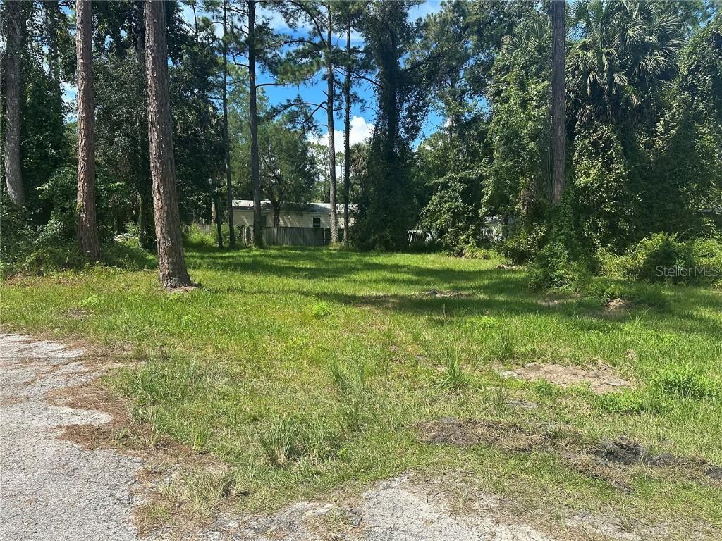 Lisa St., Astor, FL 32102