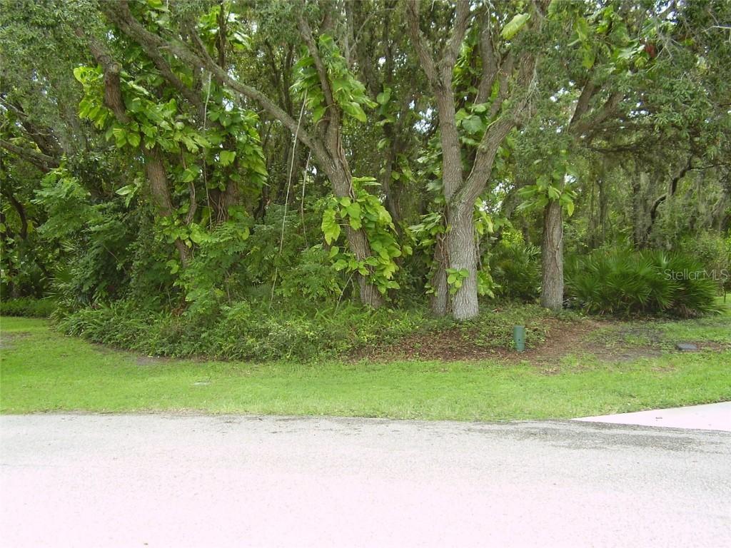410 Anise Pl., Kissimmee, FL 34759