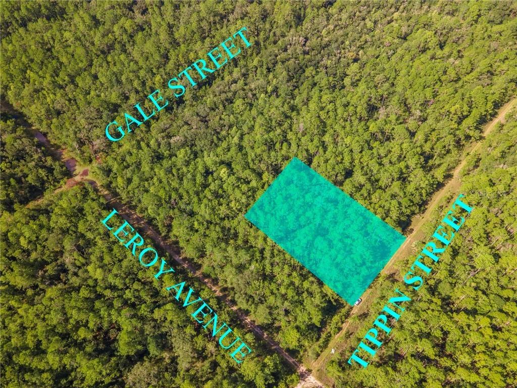 Tippin St., Hastings, FL 32145