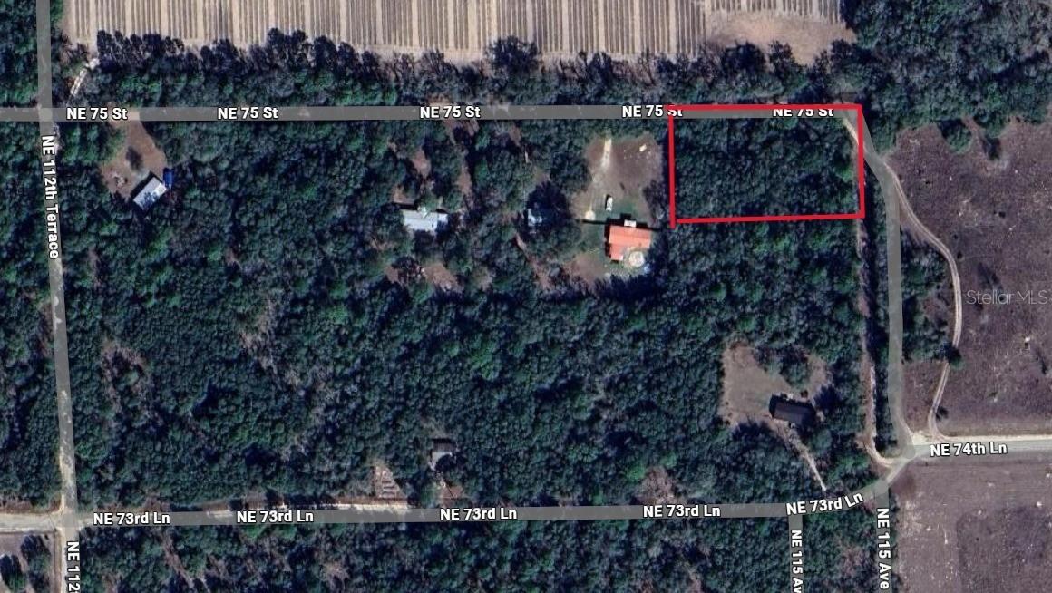 NE 75 St., Williston, FL 32696