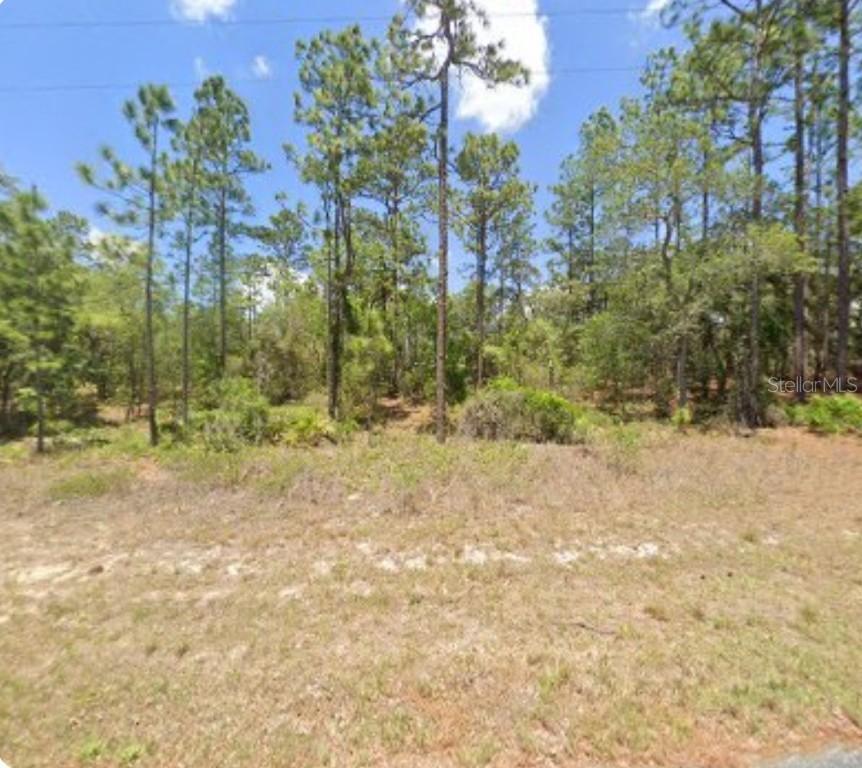 3271 W Montgomery Ln., Citrus Springs, FL 34433